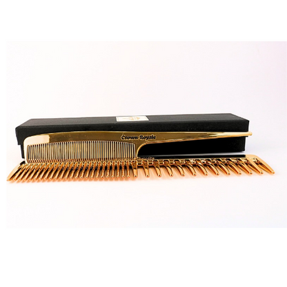 Twin Gold Hair combs