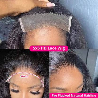 Body Wave HD Lace Wigs